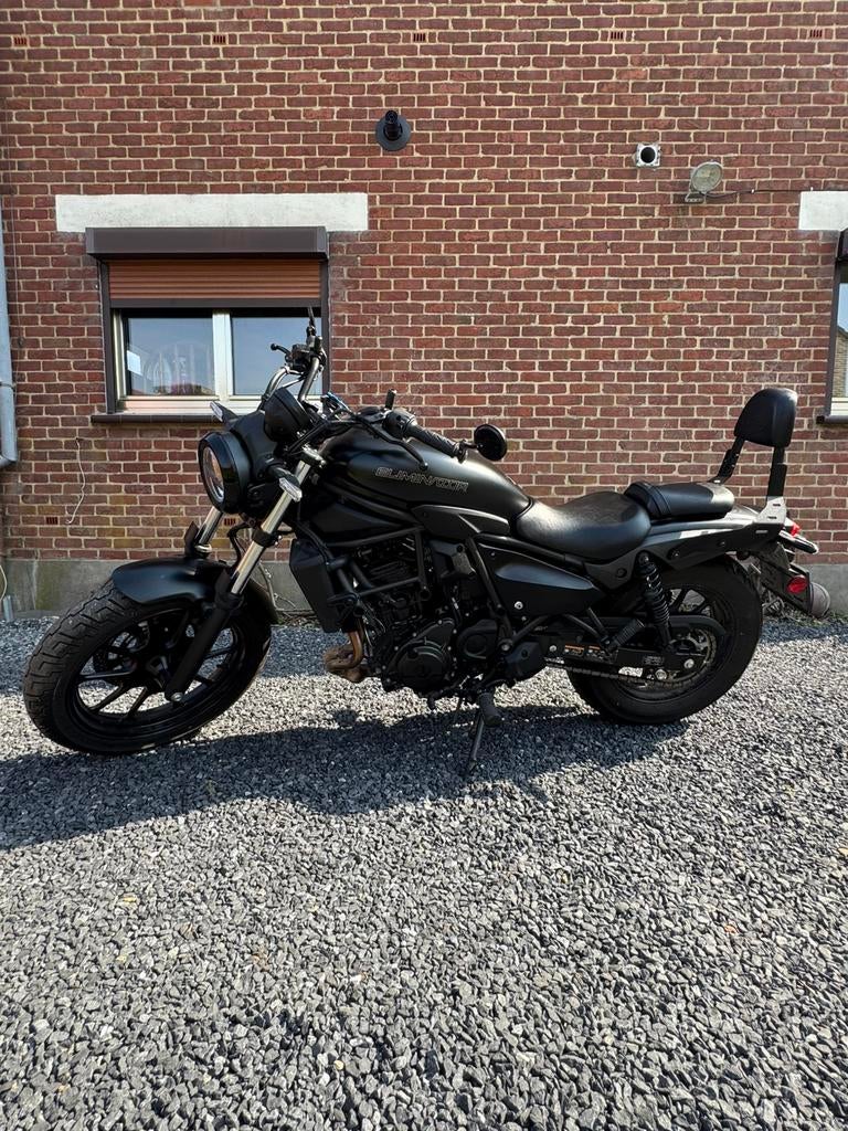 Kawasaki Elimnitor 500, Particulier