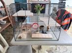 Hamster kooi 50€, Dieren en Toebehoren, Ophalen, Gebruikt, Overige materialen, Overige typen