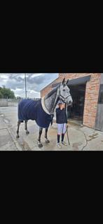 Paard te koop, Dieren en Toebehoren, Ophalen, Zo goed als nieuw