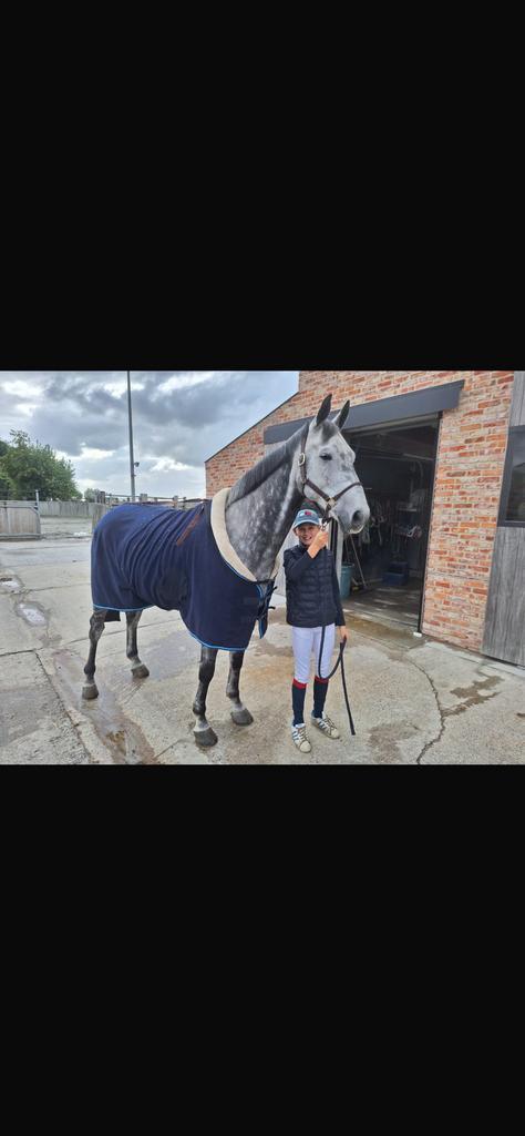 Paard te koop, Dieren en Toebehoren, Paarden en Pony's | Dekens en Dekjes, Zo goed als nieuw, Ophalen