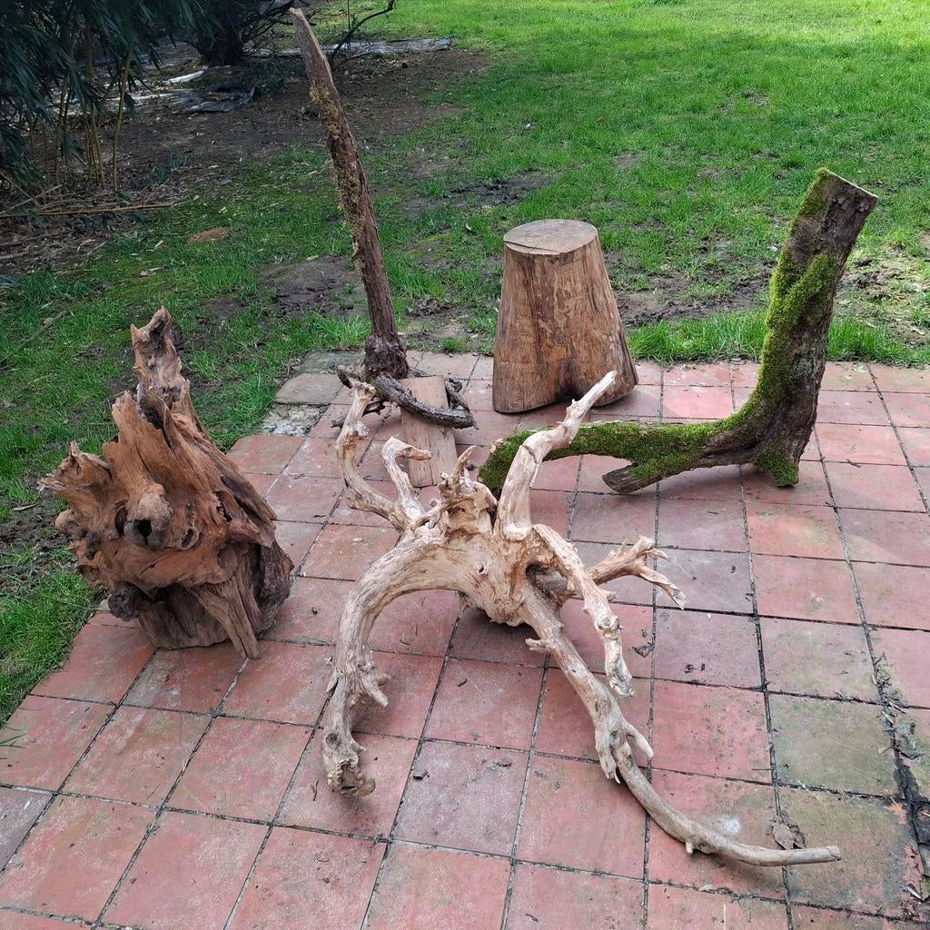 Bois flotté et souches décoratives pour lampes ou autres des, Enlèvement, Bois, Boho