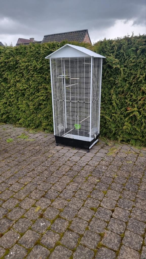 Groot vogel kooie, Dieren en Toebehoren, Vogels | Hokken en Kooien, Ophalen