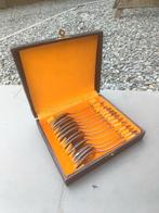 Mooie vintage theelepel set in opbergdoosje, Ophalen