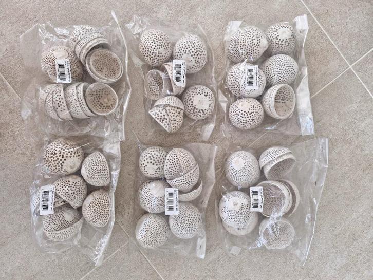 90x Bell cup geperforeerd + gebleekt, Hobby en Vrije tijd, Knutselen, Nieuw, Materiaal, Ophalen of Verzenden