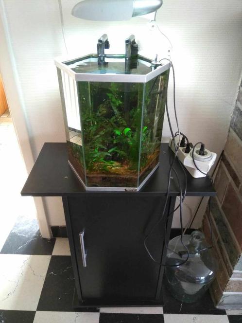 aquarium + materiaal, Animaux & Accessoires, Poissons | Aquariums & Accessoires, Utilisé, Autres types, Enlèvement