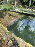 goudwindes, Tuin en Terras, Vijvers, Ophalen, Nieuw
