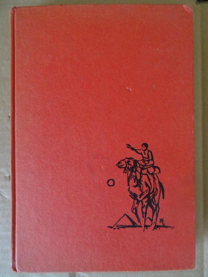 Bertus Aafjes Pet en Petra en het geheim van de bouwkunst, Boeken, Kinderboeken | Jeugd | 13 jaar en ouder, Gelezen, Non-fictie