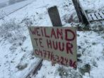 Weiland te huur, Dieren en Toebehoren