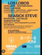 Blues Peer 2025 - 40 jaar Blues-
Ticket zaterdag 7 juni