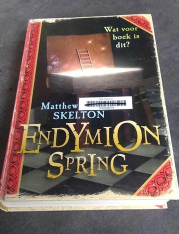 Endymion Spring Matthew Skelton beschikbaar voor biedingen