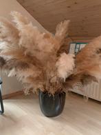 Droog pluimen, Huis en Inrichting, Woonaccessoires | Droogbloemen, Ophalen, Zo goed als nieuw