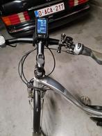Electrische fiets FLYER 8.0, Fietsen en Brommers, Overige merken, (Extra) lage instap, Zo goed als nieuw, Ophalen