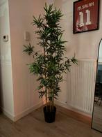 Kunstplanten, Ophalen of Verzenden, Zo goed als nieuw