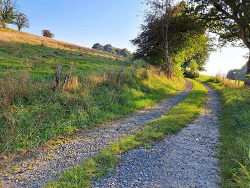 Prairie, prairie de 3 ha 60 ares à vendre à Neufchâteau, gra, Immo, Terrains & Terrains à bâtir