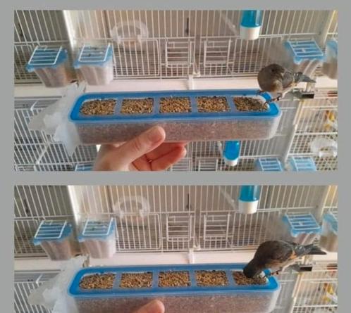 Apollo Feeder - Moldes Ave, Dieren en Toebehoren, Overige Dieren-accessoires, Ophalen