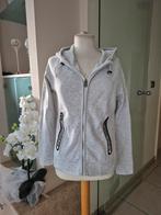 SUPERDRY damesgilet, Kleding | Dames, Ophalen of Verzenden