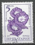 Bulgarije 1985 - Yvert 2955 - Dagschone (ST), Timbres & Monnaies, Timbres | Europe | Autre, Bulgarie, Affranchi, Envoi