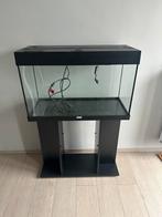 Juwel aquarium 120L met toebehoren, Dieren en Toebehoren, Ophalen, Zo goed als nieuw