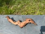 Tak uit exotisch hout, Dieren en Toebehoren, Reptielen en Amfibieën | Toebehoren, Ophalen, Tak, Plant, Rots of Steen