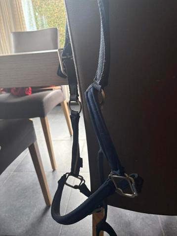 Halster beschikbaar voor biedingen