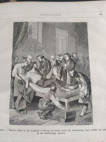 boek: uit de natuurwetenschap//Louis Figuier - 1879- NL beschikbaar voor biedingen