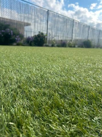 Kunstgras (type supernaturel) beschikbaar voor biedingen