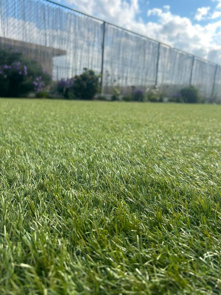 Kunstgras (type supernaturel), Tuin en Terras, Gras en Kunstgras, Zo goed als nieuw, Kunstgras, Ophalen