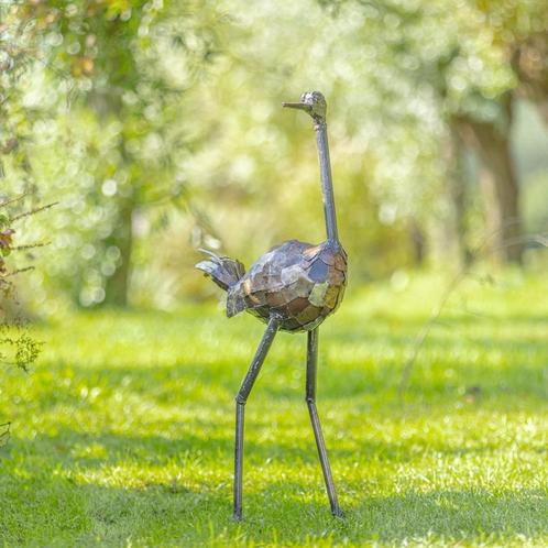 Struivogels -Mooievogels, Antiek en Kunst, Curiosa en Brocante, Ophalen of Verzenden