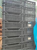 Stapelbare bakken kratten Nieuw veenman, Ophalen, Minder dan 50 cm, Minder dan 40 cm, Nieuw