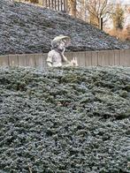 Statue de jardin, Enlèvement, Utilisé, Pierre, Homme