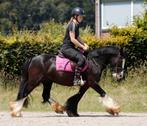 Super brave en chique sport tinker!!, Dieren en Toebehoren, Merrie, B, Dressuurpony, C pony (1.27m tot 1.37m)