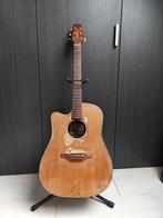 Guitare Takamine, Musique & Instruments, Enlèvement