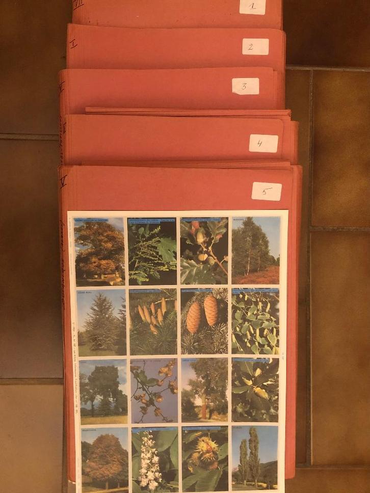 Planches de documentation ARNAUD, Livres, Science, Comme neuf, Sciences naturelles, Enlèvement