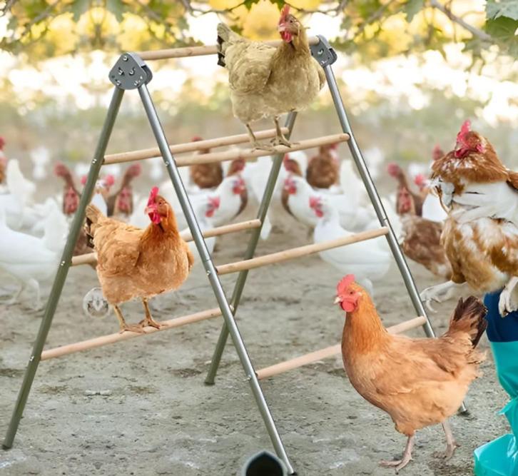 Zitstok Dubbel compleet voor kippen pluimvee, Dieren en Toebehoren, Pluimvee | Toebehoren, Ophalen of Verzenden