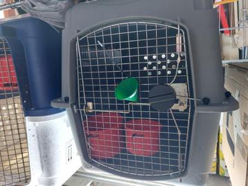Grote transportbox voor hond – vliegtuiggeschikt beschikbaar voor biedingen