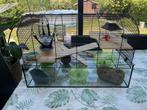 Hamsterkooi  65 euro, Dieren en Toebehoren, Ophalen, Zo goed als nieuw