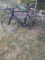 Pinarello Gan, Zo goed als nieuw, 15 tot 20 versnellingen, 53 tot 57 cm, Ophalen