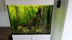 Jewel Lido 200 Aquarium, Dieren en Toebehoren, Ophalen, Zo goed als nieuw, Gevuld zoetwateraquarium
