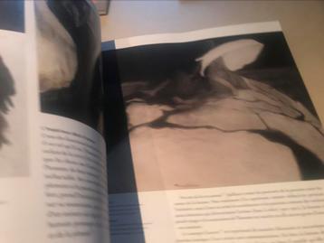 Léon Spilliaert Peintures aquarelles 360pag, Enlèvement ou Envoi, Comme neuf, Peinture et dessin
