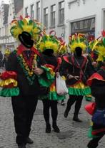 brasil, Kleding | Dames, Carnavalskleding en Feestkleding, Ophalen of Verzenden, Gedragen