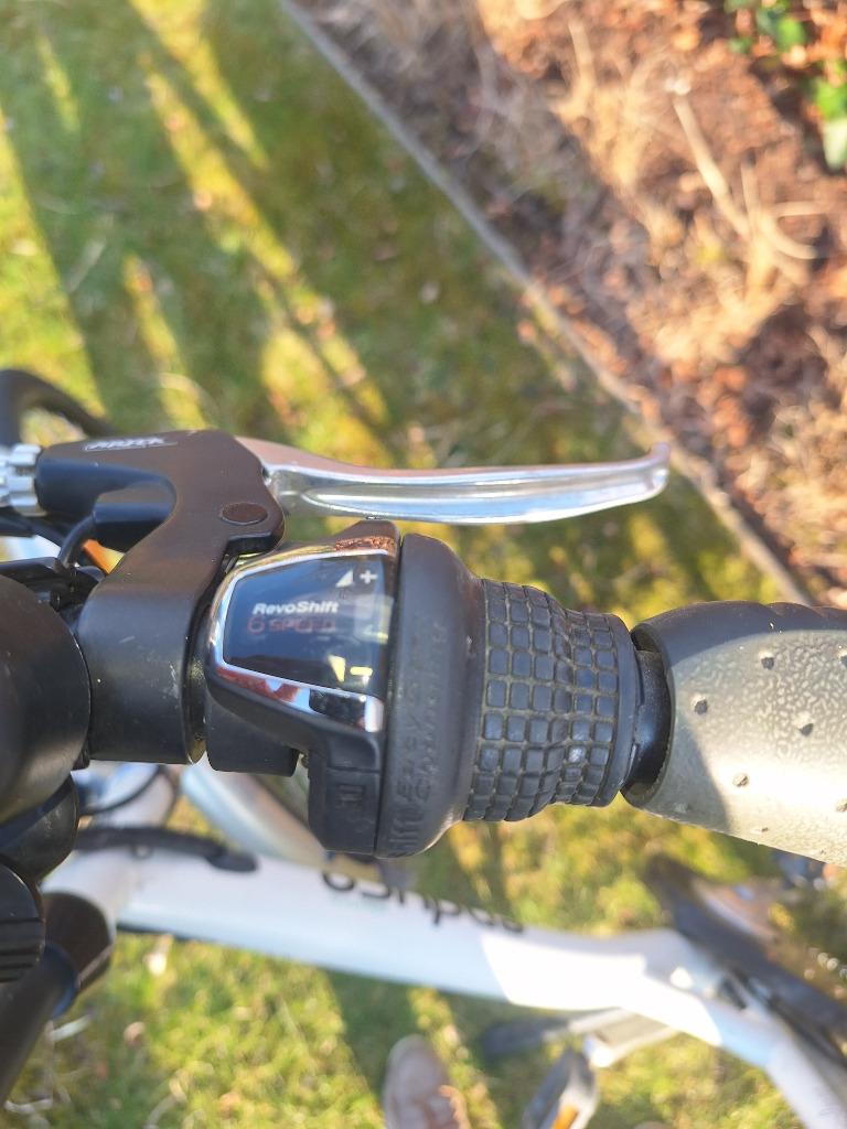 Vélo hollandais Batavus électrique - Vélos