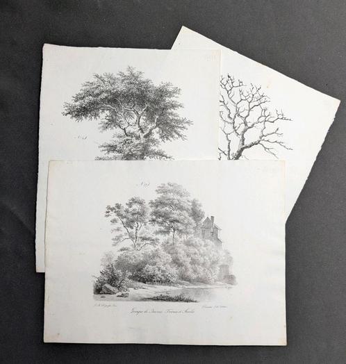Jean-baptiste de Jonghe - drie antieke litho's - bomen, Antiek en Kunst, Kunst | Tekeningen en Fotografie, Ophalen of Verzenden