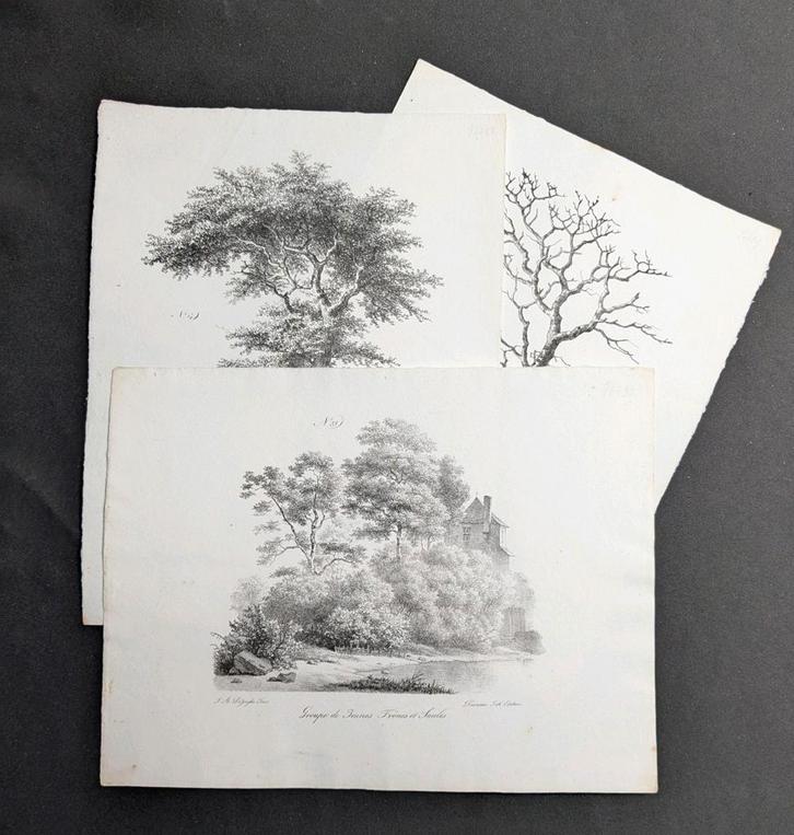 Jean-baptiste de Jonghe - drie antieke litho's - bomen, Antiek en Kunst, Kunst | Tekeningen en Fotografie, Ophalen of Verzenden