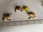 4 plastic kikkers, Ophalen of Verzenden, Gebruikt