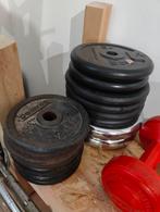 Halterschijven met 2 stangen, Sport en Fitness, Fitnessmaterialen, Ophalen, Zo goed als nieuw, Halterschijven