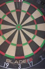 Dartbord Blade 6, Ophalen, Gebruikt, Dartbord