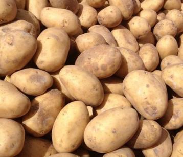 Voeder aardappelen gevraagd, Articles professionnels, Enlèvement