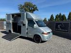 TOP | RENAULT MASTER | MTM | PAARDENWAGEN | 2009 | DUB CAB, Ophalen, Gebruikt, Overige materialen, Overige typen