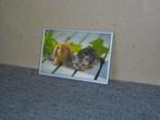 Lundby flatscreen televisie, Ophalen of Verzenden, Gebruikt
