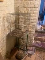 Cage pour petit perroquet, Papegaai